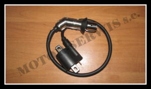 cewka_zaplonowa_atv250_shineray_zqb2011