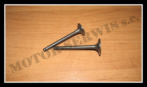 zawory_atv110_bts_moretti0273