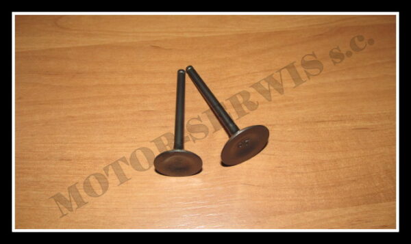 zawor_ssacy_i_wydechowy_silnik_yx140_pitbike_ptb0067 zawor_ssacy_i_wydechowy_silnik_yx140_pitbike_ptb0067