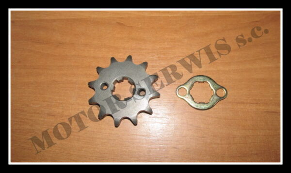 zebatka_12z_przednia_428h_zpy0226b